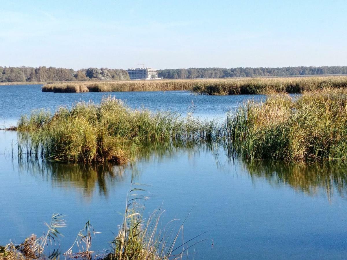 Merinn Rogowo  Buitenkant foto