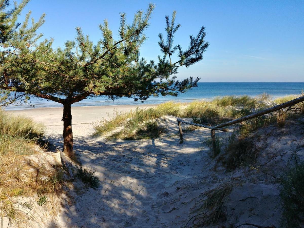 Merinn Rogowo  Buitenkant foto